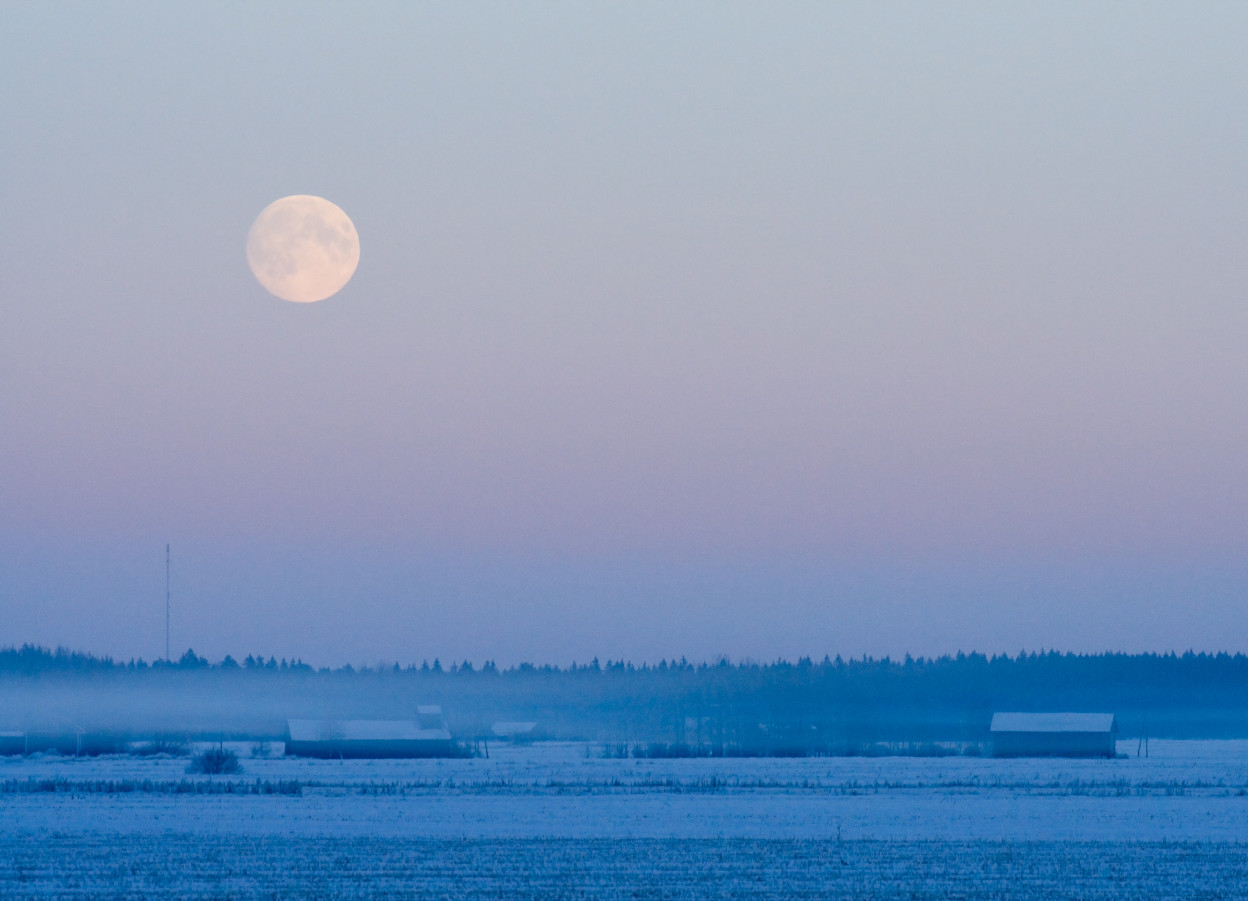 Moon over the field in the evening.